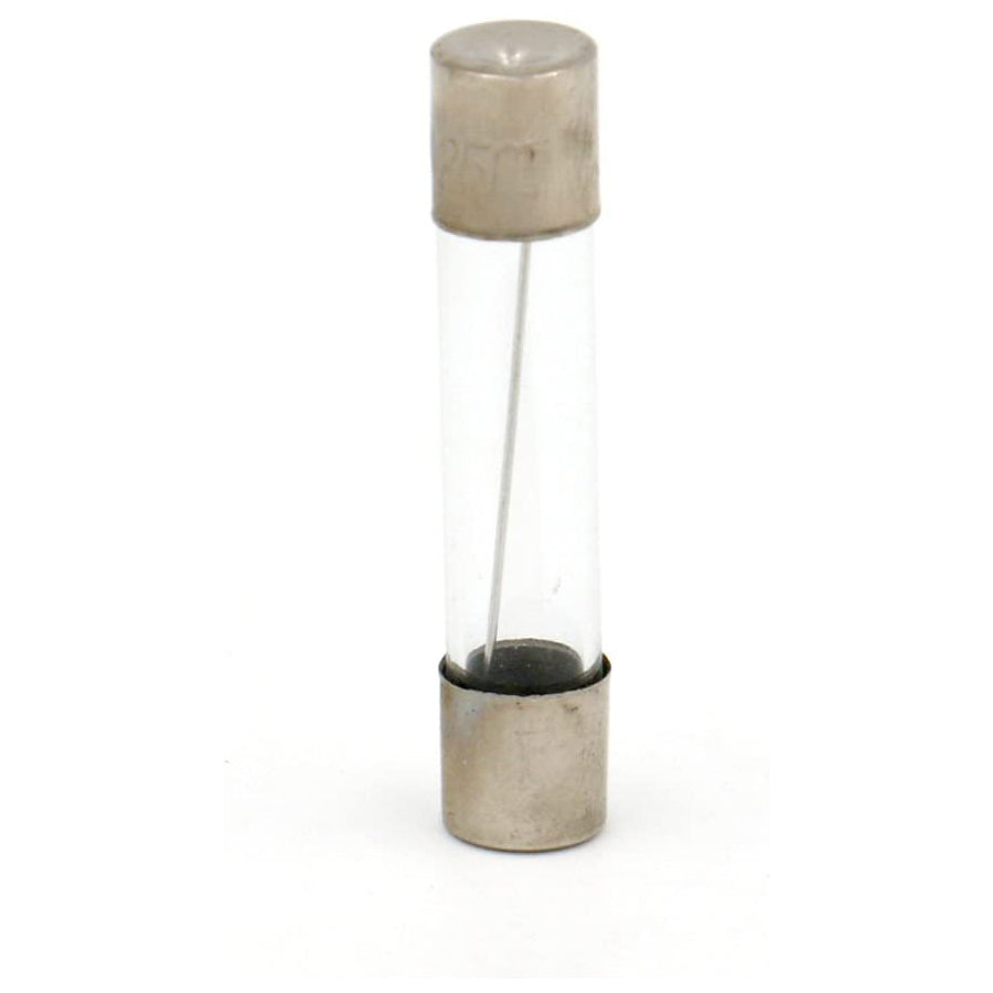 Baomain Glassicherung, flink, 6 x 30 mm, 250 V, 100 Stück