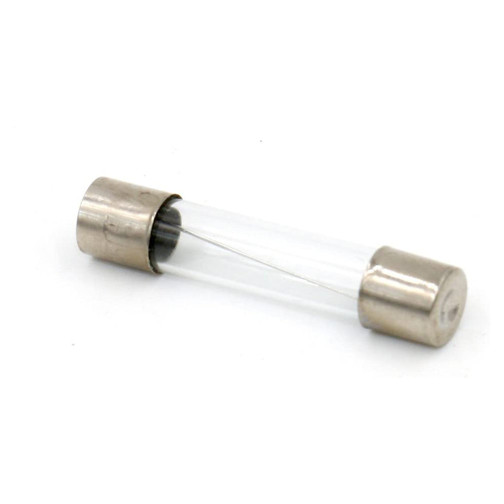 Baomain Glassicherung, flink, 6 x 30 mm, 250 V, 100 Stück
