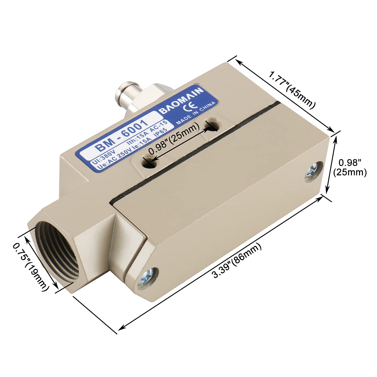 Baomain Plunger Limit Switch BM-6001 15A/250VAC for Push & Pull Door/Roll-up Door - BAOMAIN