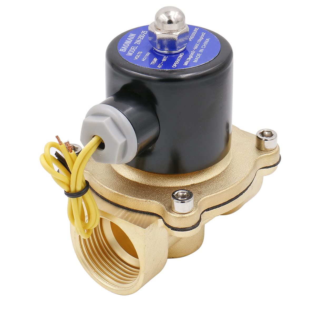 Baomain Brass Electric Solenoid Valve 1 inch DC12V/24V AC110V/220V Water Air Normally Closed Valve 2W-250-25